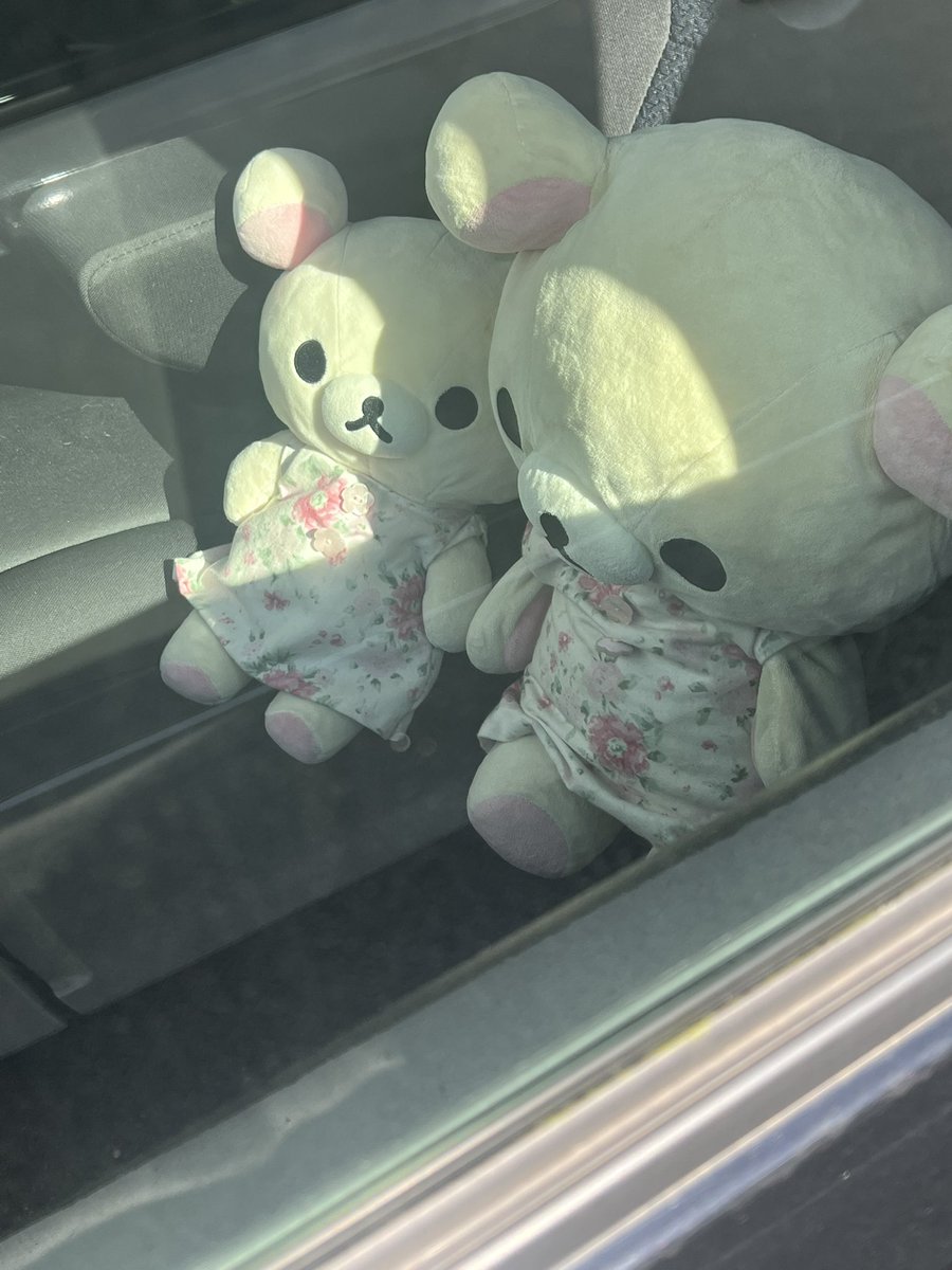 うちの子 tweet media