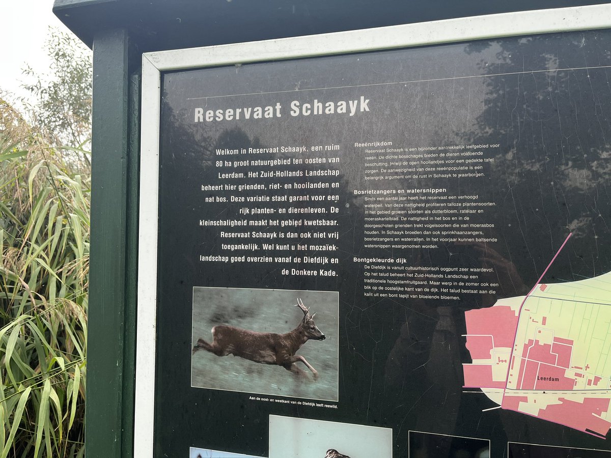 Pim Booman tweet media