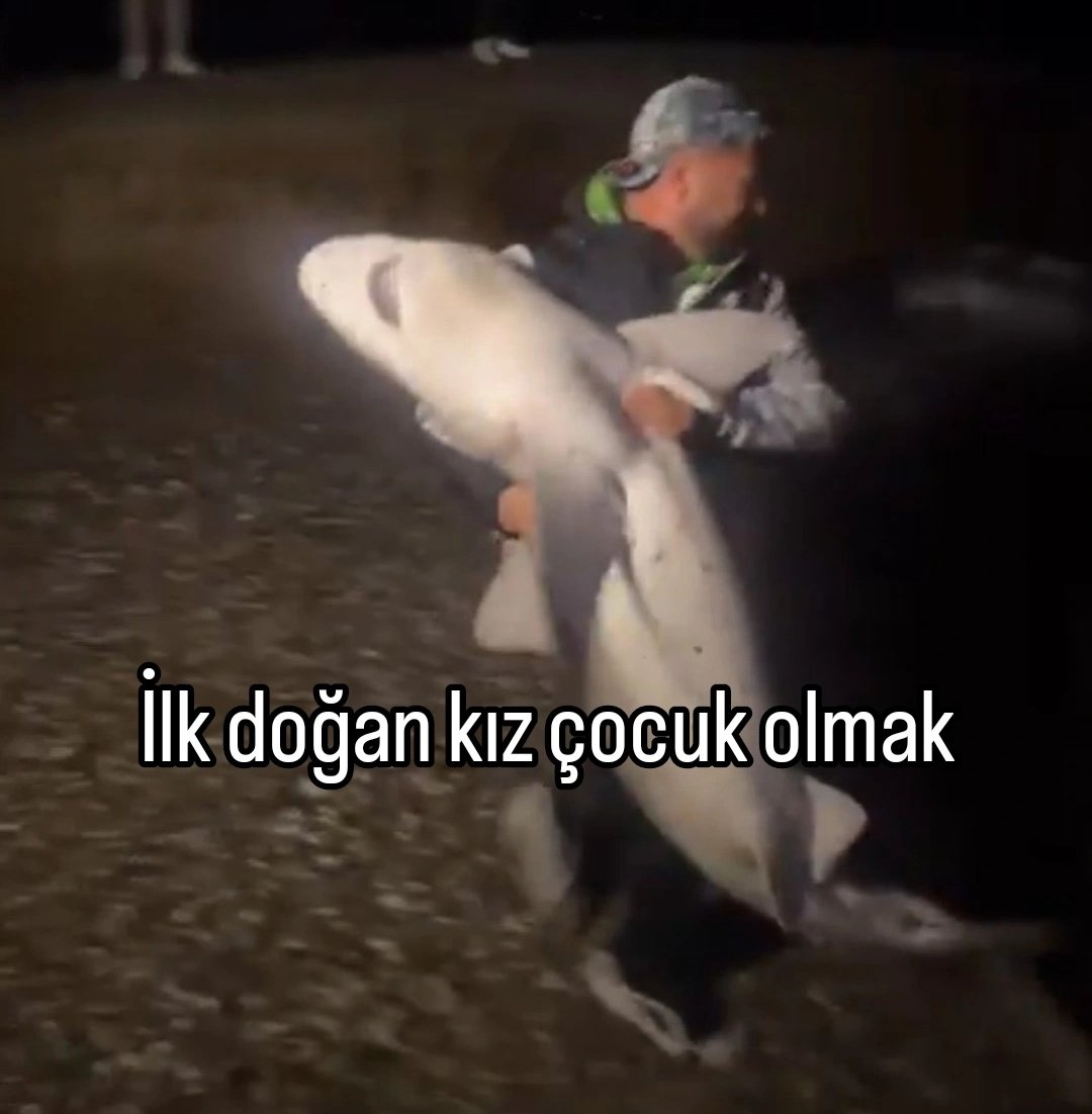 ANLIK (@anlikmod) on Twitter photo 