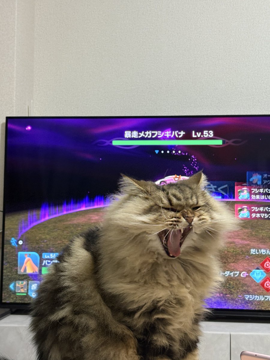 drsharuka's tweet photo. 邪魔してくる https://t.co/CLt0pBws3a