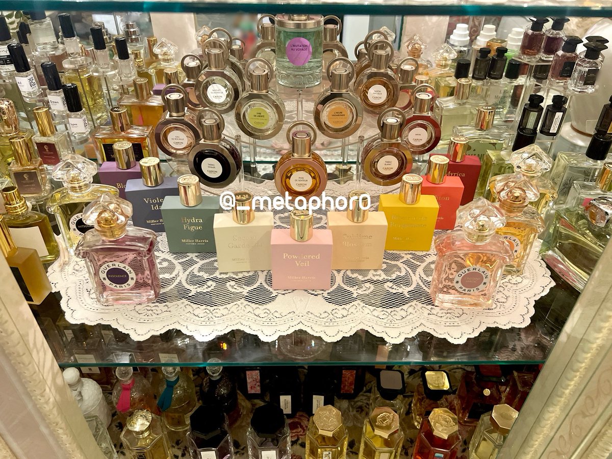 ☁️ maria ☁️ tweet media