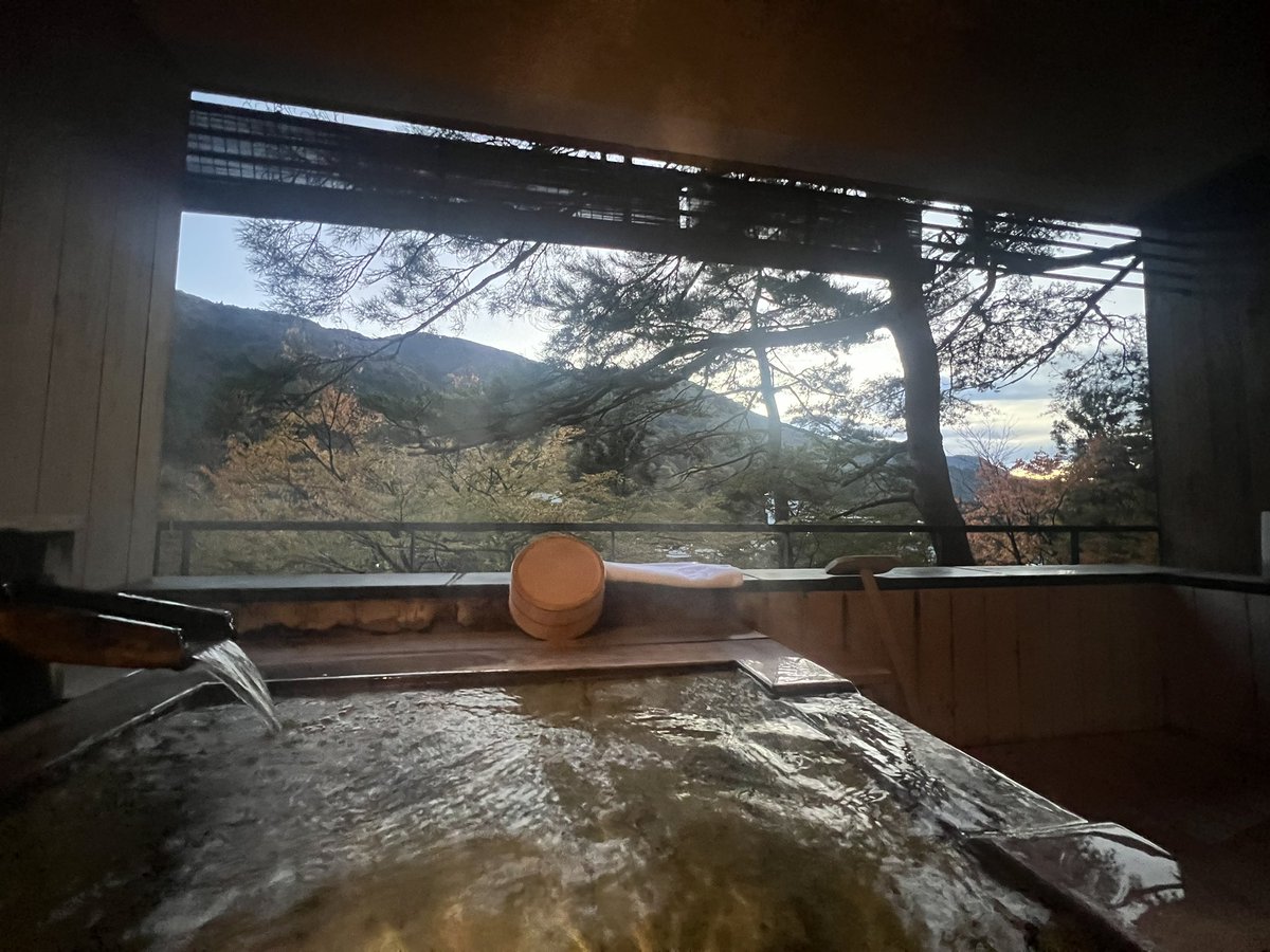 うちの子 tweet media