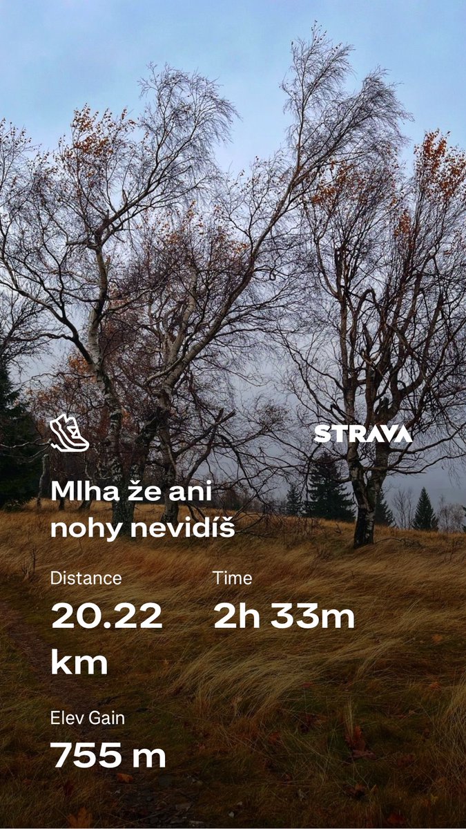 Když svítí, je to dobrý, ale teprve mlha a déšť jsou jsou to správný počasí, kdy za každým stromem vykukují duchové hor. 
strava.app.link/v8fWbteYXXb