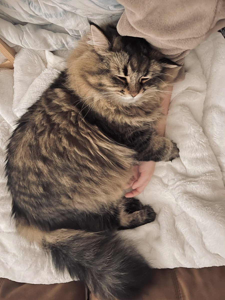 ゆかり♨️ (@le_fo_u) / Posts / X