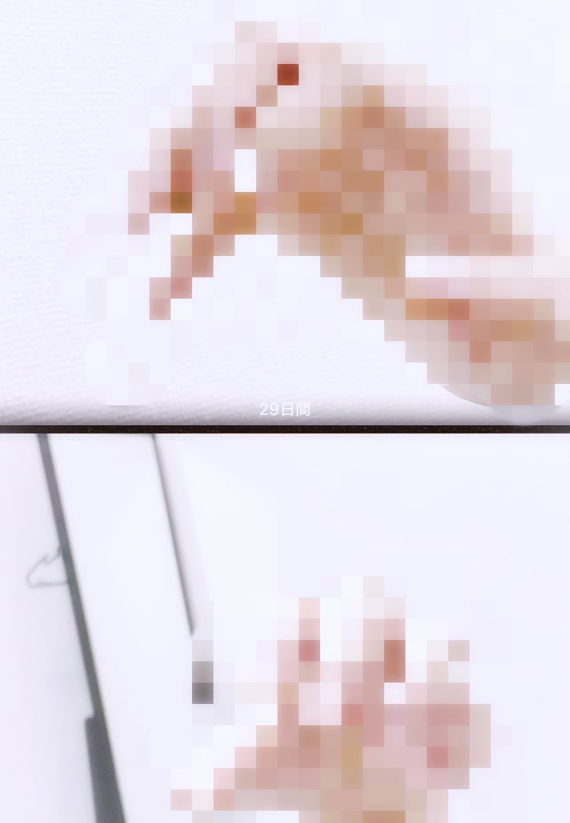 wave返信した☝️一応こっちでも
絵を描く時手に関しては加々美ハンドやオリーブハンドを使う事が多いですが全身鏡ある部屋でポーズ自撮りする(地獄)ついでに自分の手を撮る事もあります！
ネイルオフしてて可愛くないのでモザイクしてるけどこれははろいん艦長描く時に撮ったやつ(使ったのは下段の写真