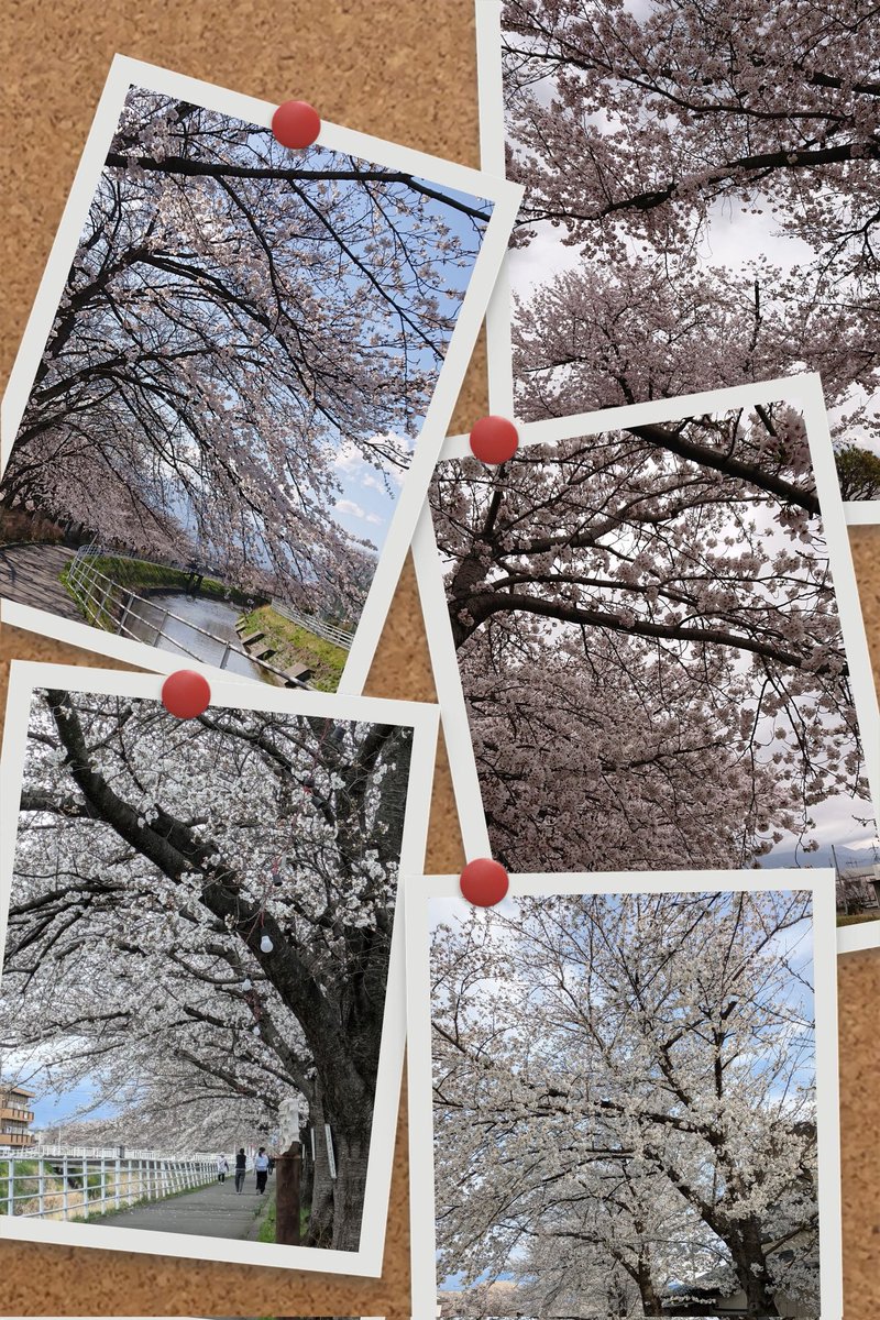 ❤️カリメロ❤️vintage 🍷🌹🚴🍨🍜🕺💎18❤️💚 on X