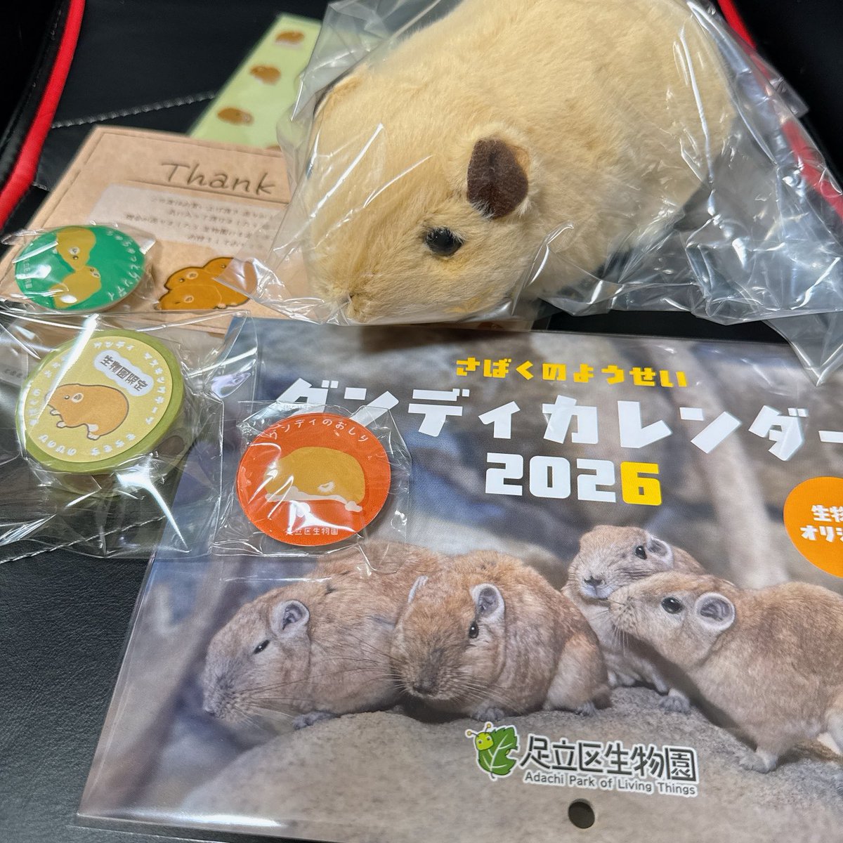 しらたき様確認ページ しらたき on X