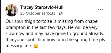 #Missing Chapel Brampton #Northamptonshire

Contact owner please:
facebook.com/photo/?fbid=10…

<a href="/AnimalsInNeedUK/">Animals in Need UK</a> <a href="/WestNorthants/">West Northamptonshire Council</a> <a href="/MissingPetsGB/">Missing Pets GB</a> <a href="/HunnyJax/">#BePETTHEFTaware</a> <a href="/rosiedoc666/">Rosie Doc</a> <a href="/LisaClareRead2/">Lisa Clare Read 💙</a> <a href="/NTelegraph/">Northants Telegraph</a> <a href="/ChronandEcho/">Northampton Chron</a>