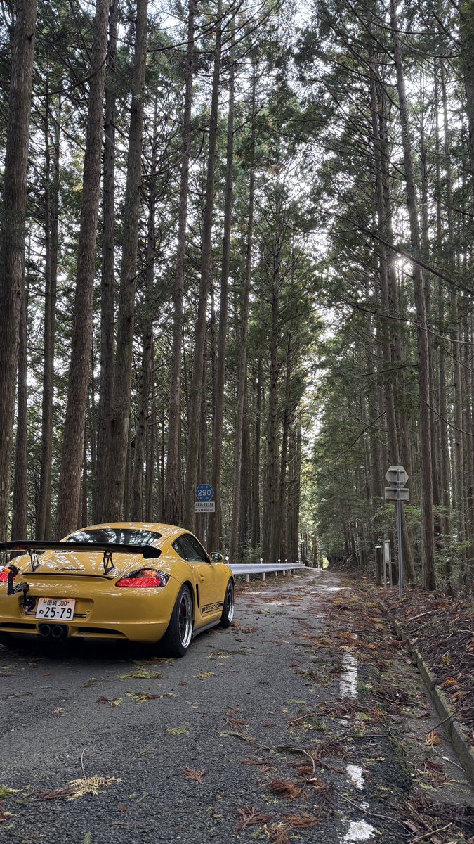 シゲ黄色会🟨会員NO 987 (@yellowcayman987) / Posts / X