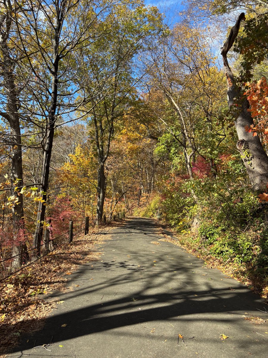 MarkDSiegel1's tweet image. Program Director's Note - A Fall Wellness Inventory 

Preparing for the dark times...

A #ProgramDirectorsNote to my @TradIMYale residents. @YaleIMed 

open.substack.com/pub/siegelmark…