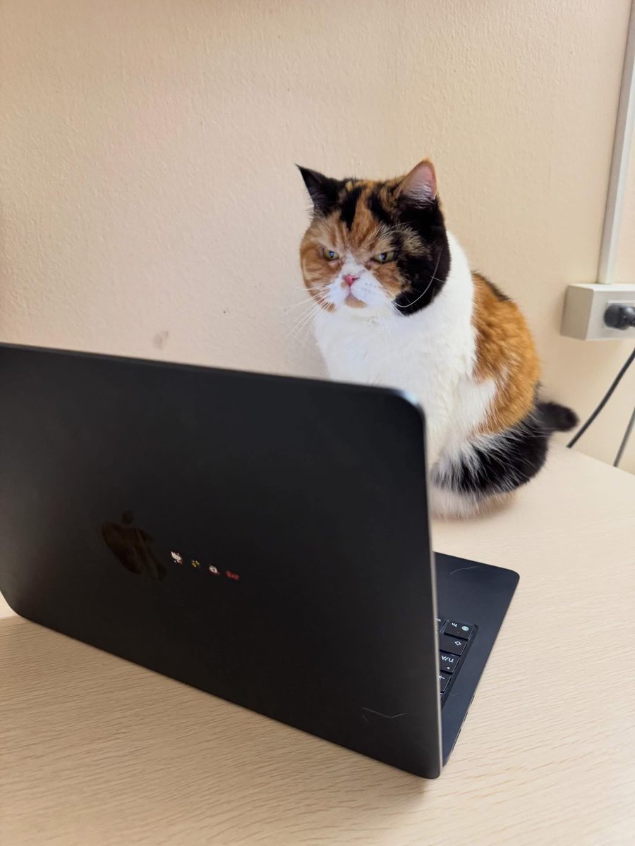 realmingh's tweet image. ก็ขอบคุณทุกคำอวยพรละกัน พิมพ์มาขั้นกำลังอ่านอยู่