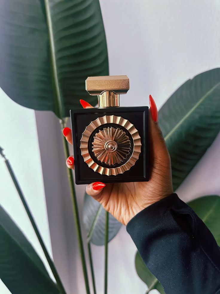 People that gets it gets it! Nebras is that one perfume you can never go wrong with 🤭
Very long lasting and attention grabbing!
🏷️50,000
📍 Owerri, Imo State.
Delivery is nationwide.
Kindly retweet, quote and like.
<a href="/nosafk/">Tweeter_Headmaster 🇮🇹🇳🇬⚫⚪</a> <a href="/adaezennaji_/">ADAEZE👩‍🍳👸-THE BLUEPRINT/ODOGWU OF BANANA BREAD</a> <a href="/_wholezed/">MOYA⌚️ -Jewelry plug</a> <a href="/AweniOla0001/">AWENI MAKES AND SELLS SHOES 👞</a>