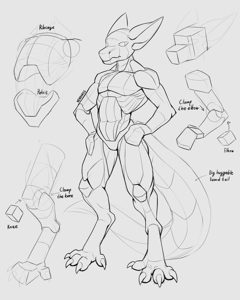 venkaris's tweet image. Body construction study