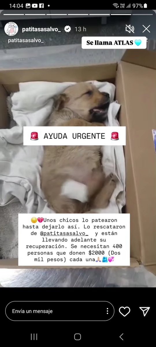 ComoNoAdorarlos's tweet photo. Ayuda para este cachorrito al que patearon y dejaron muy mal💔😢👇 https://t.co/xkmgg7wXDb