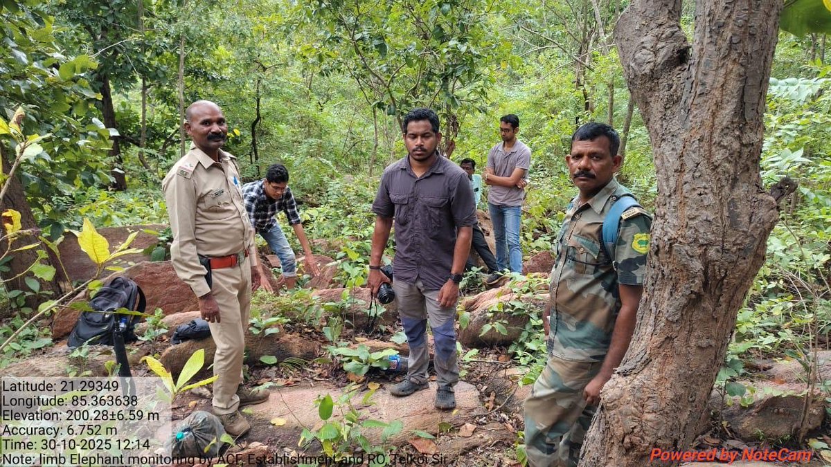 DfoKeonjhar's tweet image. Administering  medicines  through dart to ailing Makhna elephant who was injured in consistent infighting with male elephants in Bimala section Telkoi.
#WTI vet #biologist
#BVO Telkoi
@CMO_Odisha @PCCFWL_Odisha @IPR_Odisha @pccfodisha @RourkelaRc79045 @wti_org_india @moefcc