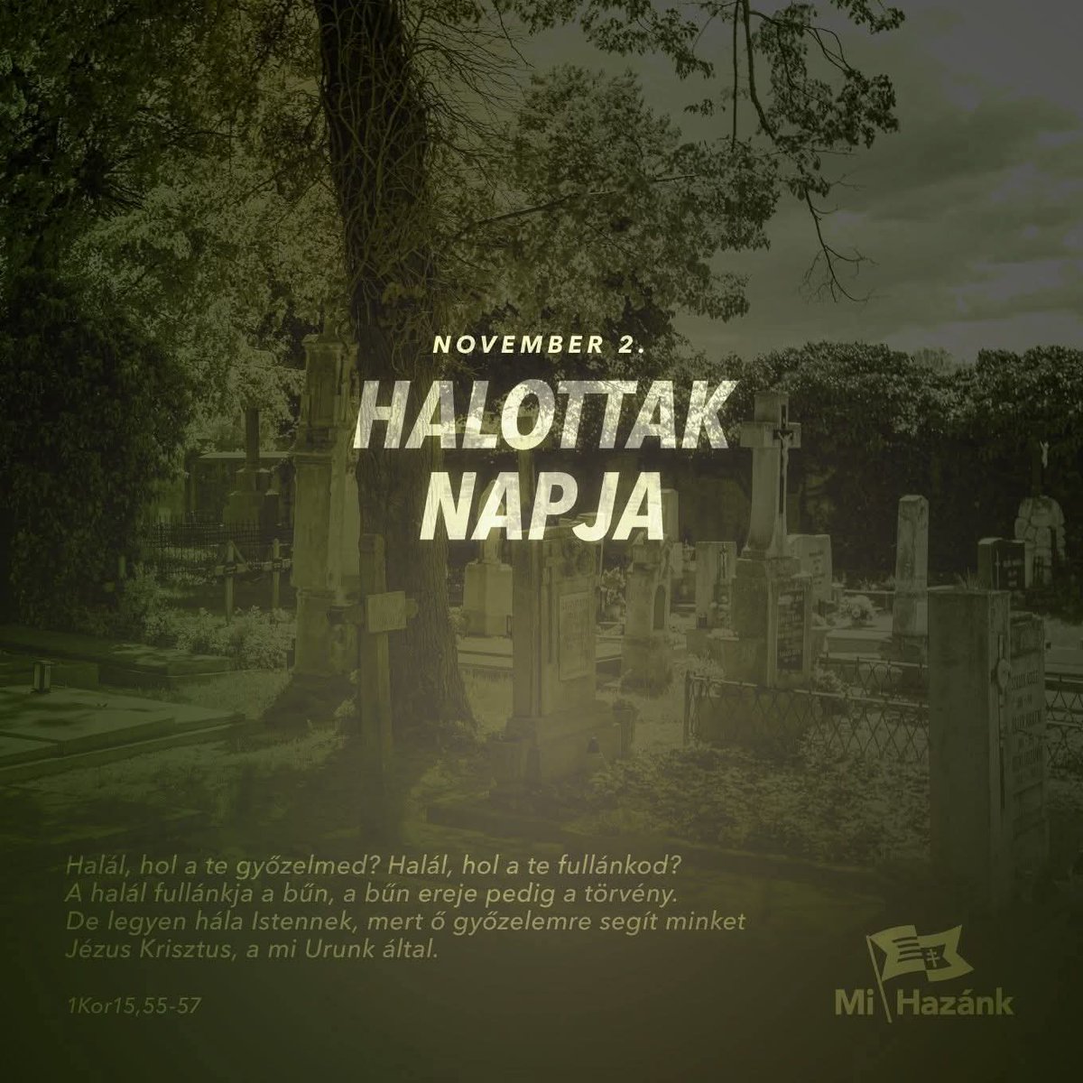 Dr. Fiszter Zsuzsanna (@drfiszter) on Twitter photo 