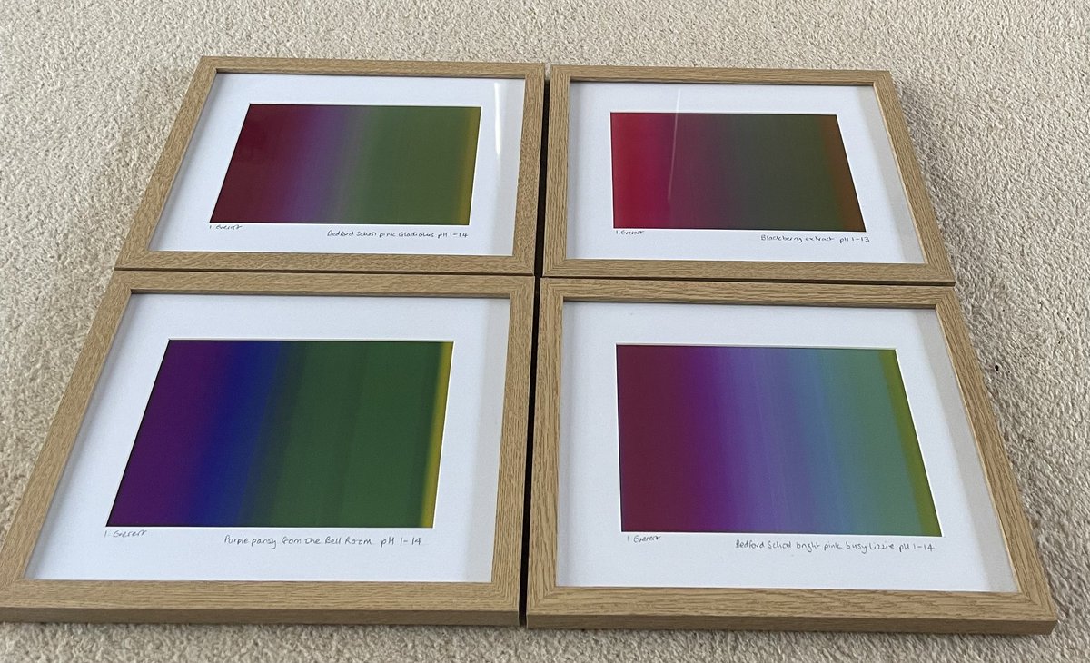 CrocodileChemist tweet media