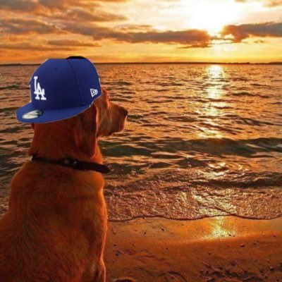 From chokers, to Mickey Mouse ring, to can’t get passed the NLDS, to ruining baseball. There were many crashouts this season &amp; i did lost some hope at the end i admit.. but the Dodgers cement themselves as a dynasty. I look at the sunset of the 2025 MLB season.. life makes sense