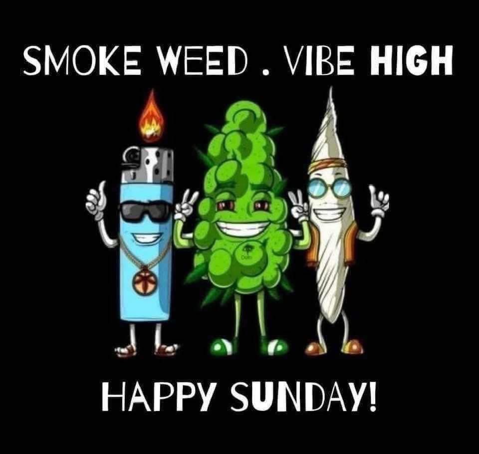KushWorld tweet media