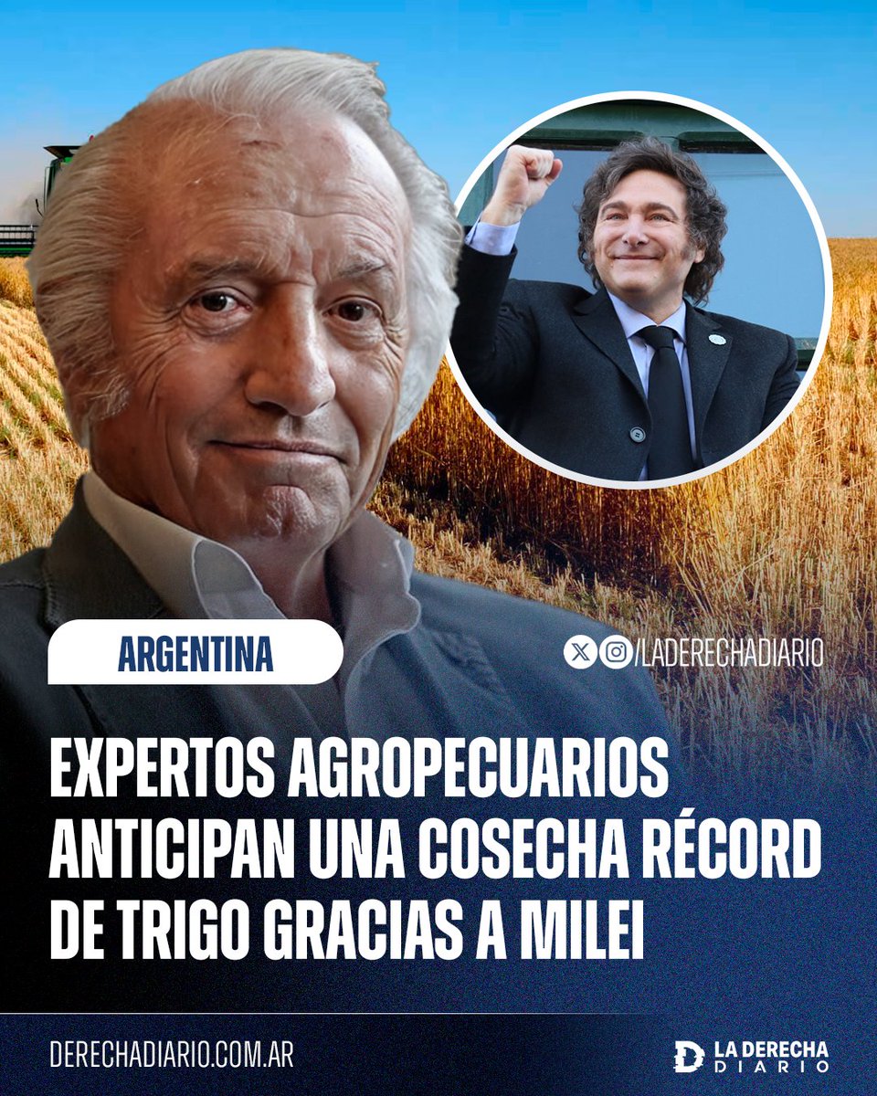 laderechadiario's tweet image. 🚨🇦🇷 | Según el consultor Enrique Erize, el sector agropecuario anticipa una cosecha récord de trigo gracias a Milei: "Los cultivos son un espectáculo... Hay gente hablando que se supera las 24 millones de toneladas cómodamente, y otros hablando de 26. Récord histórico total".