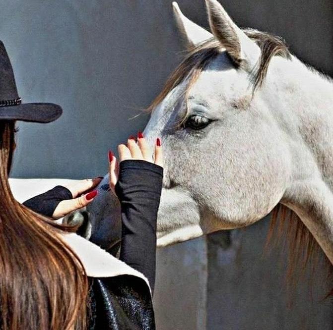 وقلبي في حب الخيل ميال 👑🐎