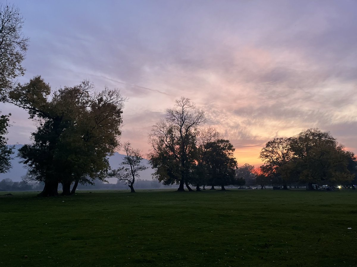 Güzel havaları değerlendirmek . 🌲🌳