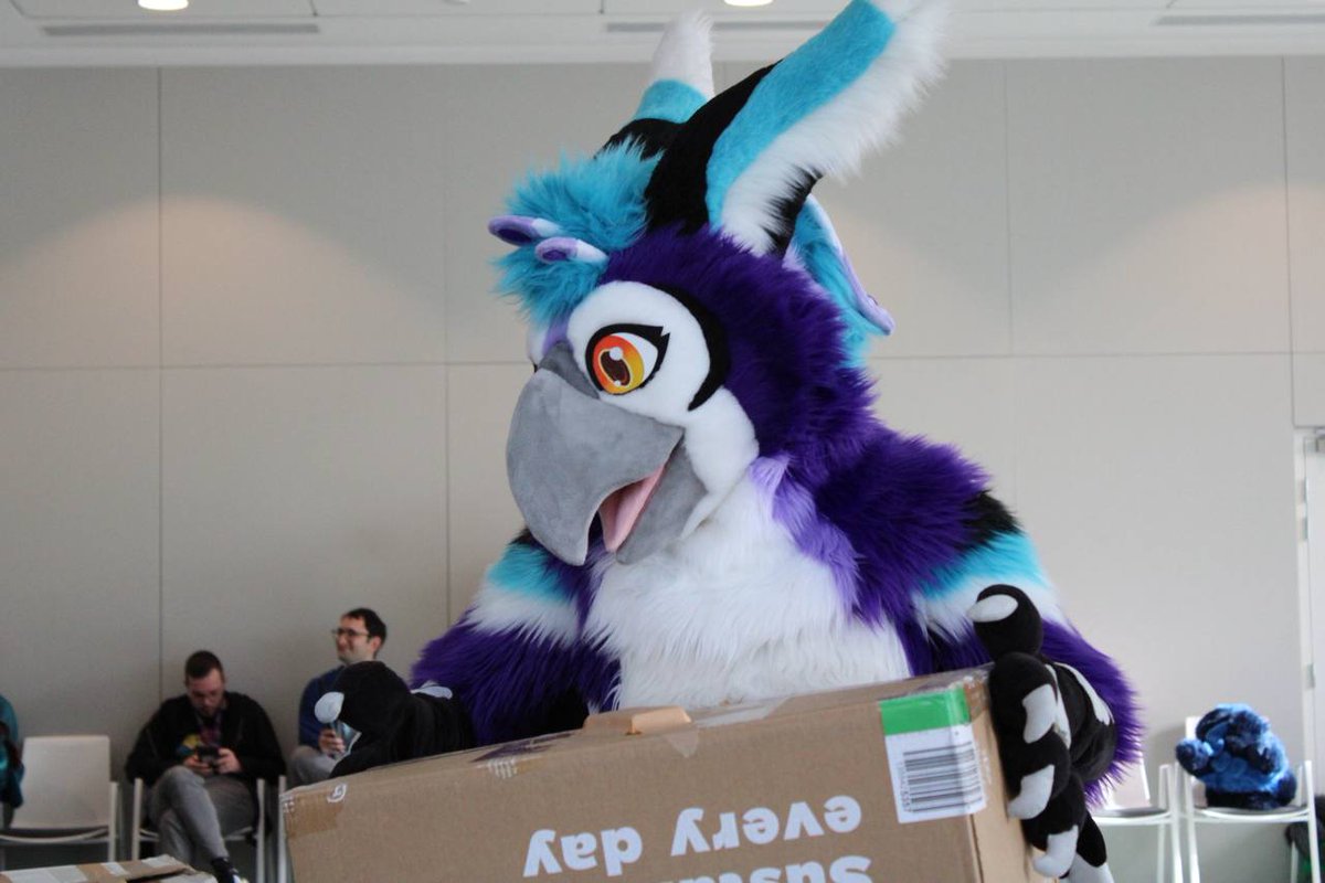 Stella Gryphon tweet media
