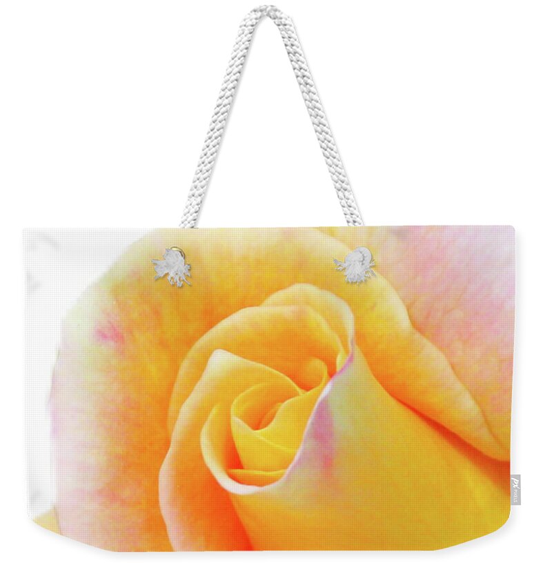 JoanneCarey64's tweet image. &quot;Close-Up of a Yellow Rose&quot; weekender #totebag and/or spiral #notebook 💛🤍🩷
#flowerphotography #FlowersOnX #rose #journaling #gifts #Christmasgifts 

3-joanne-carey.pixels.com