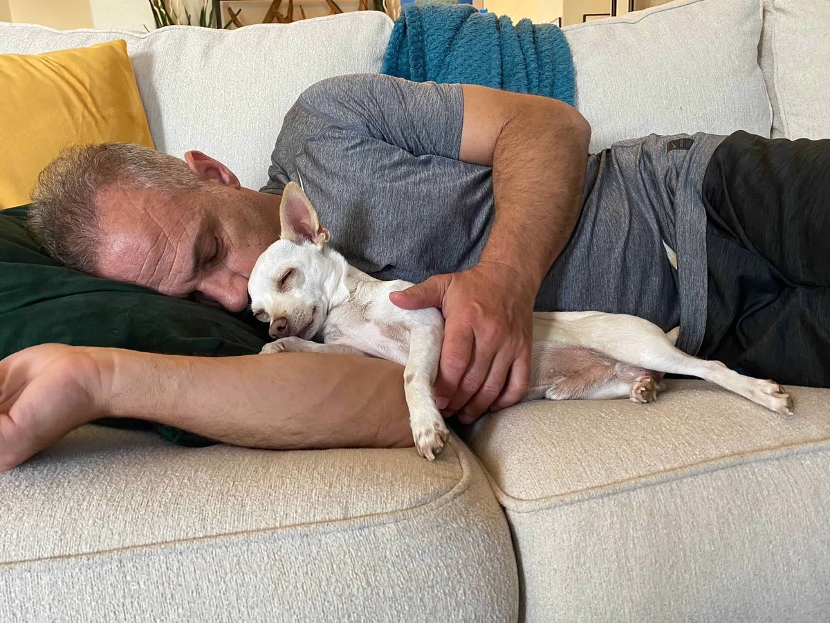 John Gambadoro tweet media