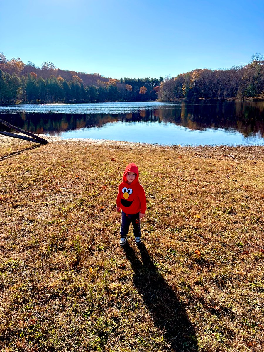 Ryan D Leaf tweet media