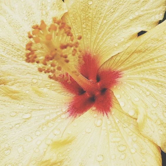 𝐂𝐎𝐌𝐎 𝐀𝐒 𝐑𝐄𝐕𝐈𝐒𝐓𝐀𝐒 𝐉𝐀𝐏𝐎𝐍𝐄𝐒𝐀𝐒 𝐒Ã𝐎 𝐈𝐌𝐏𝐎𝐑𝐓𝐀𝐍𝐓𝐄𝐒 𝐏𝐀𝐑𝐀 𝐎 𝐒𝐄𝐔 𝐄𝐌𝐀𝐆𝐑𝐄𝐂𝐈𝐌𝐄𝐍𝐓𝐎 a thread !¡ 

                   an   #edtwt   thread   
           ♡  ノ  ↻   is  appreciated   !¡