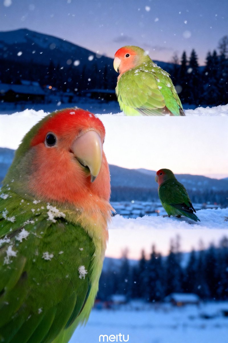 얼.수(얼은 수박바)