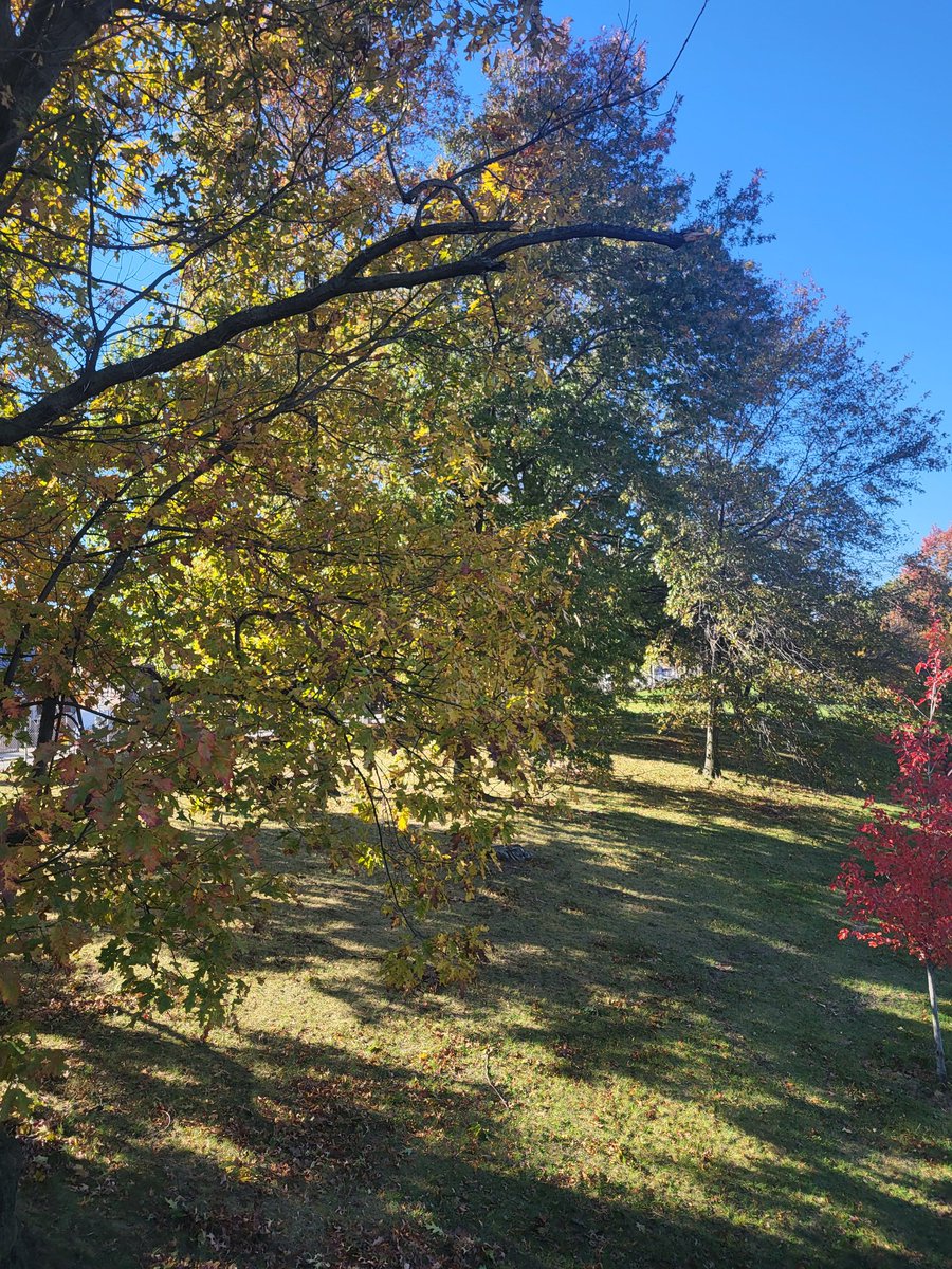 GayAssRetard15's tweet image. Almost crashed the fuck out this morning but anyway I took this picture omw to lunch