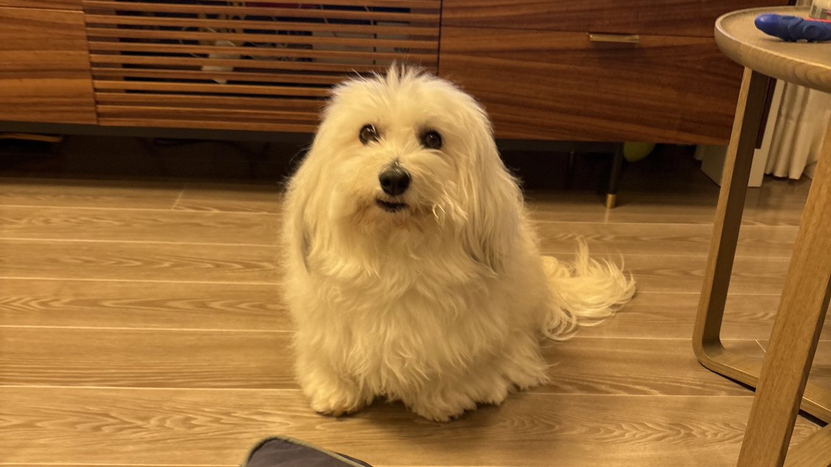 アメページ♡ あめ (@ame__512) / Posts / X