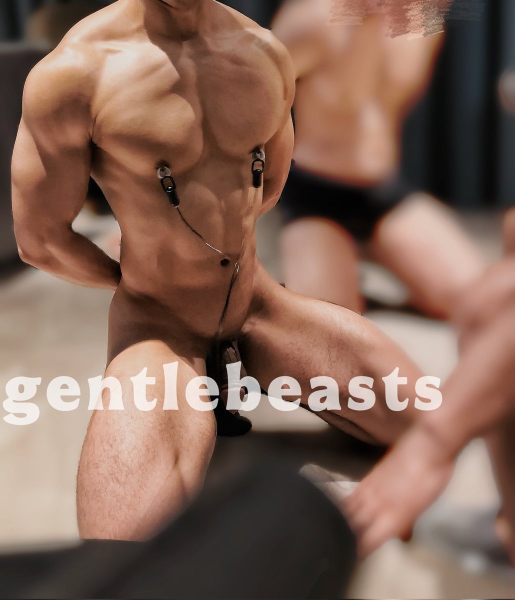 BULLTOY_小熠 tweet media