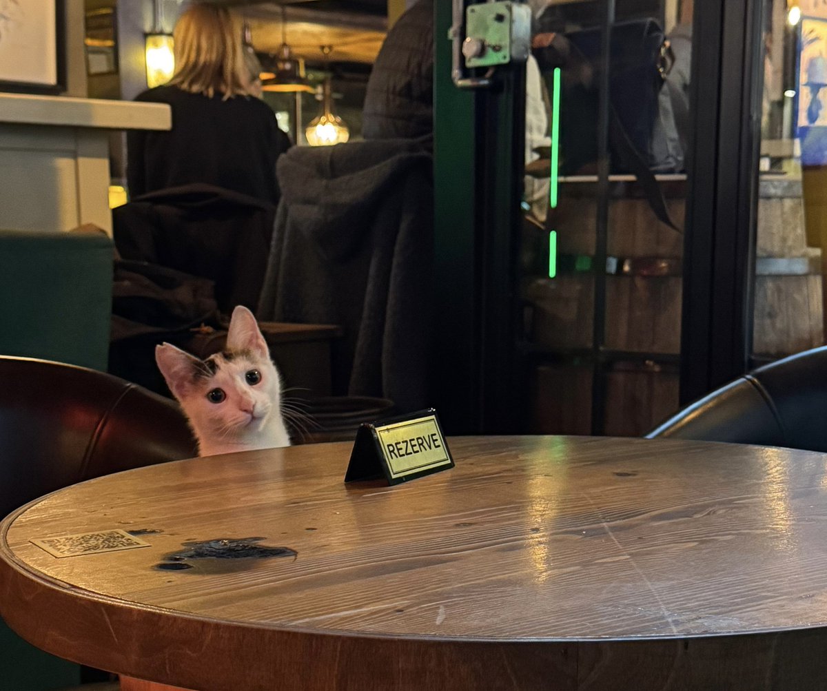 first date sirasinda muhabbeti sarmadigi icin terk edilen kedo da bonus