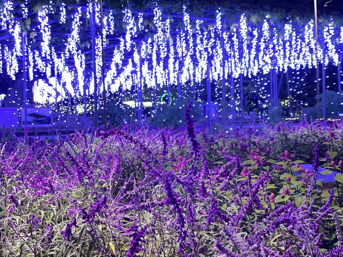 ハナジロウさま専用 専用 楽天市場】バイク用バッテリー□カワサキ Ninja ZX-25R (2020年