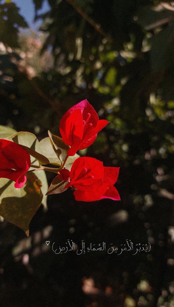 علي 🇯🇴 (@al_smadi_ali) on Twitter photo 