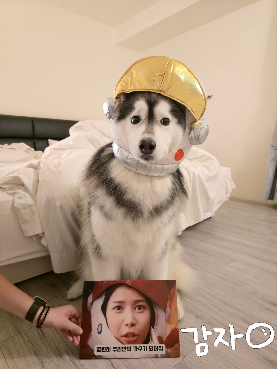 gamja619's tweet image. Qian Qian = Yongsoonie🤣

@lien_0314 

#solaris #solar #솔라 #마마무 #mamamoo