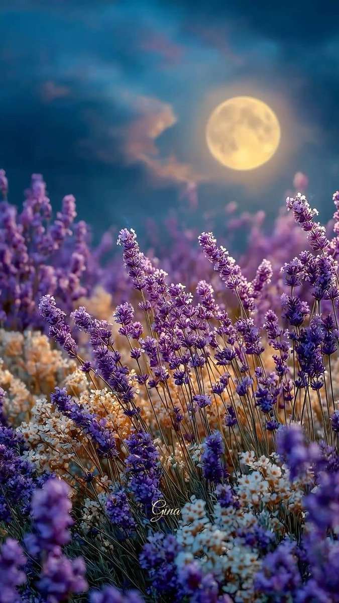 They are writing history in blood while we write it in forgotten ink.

#Sudan