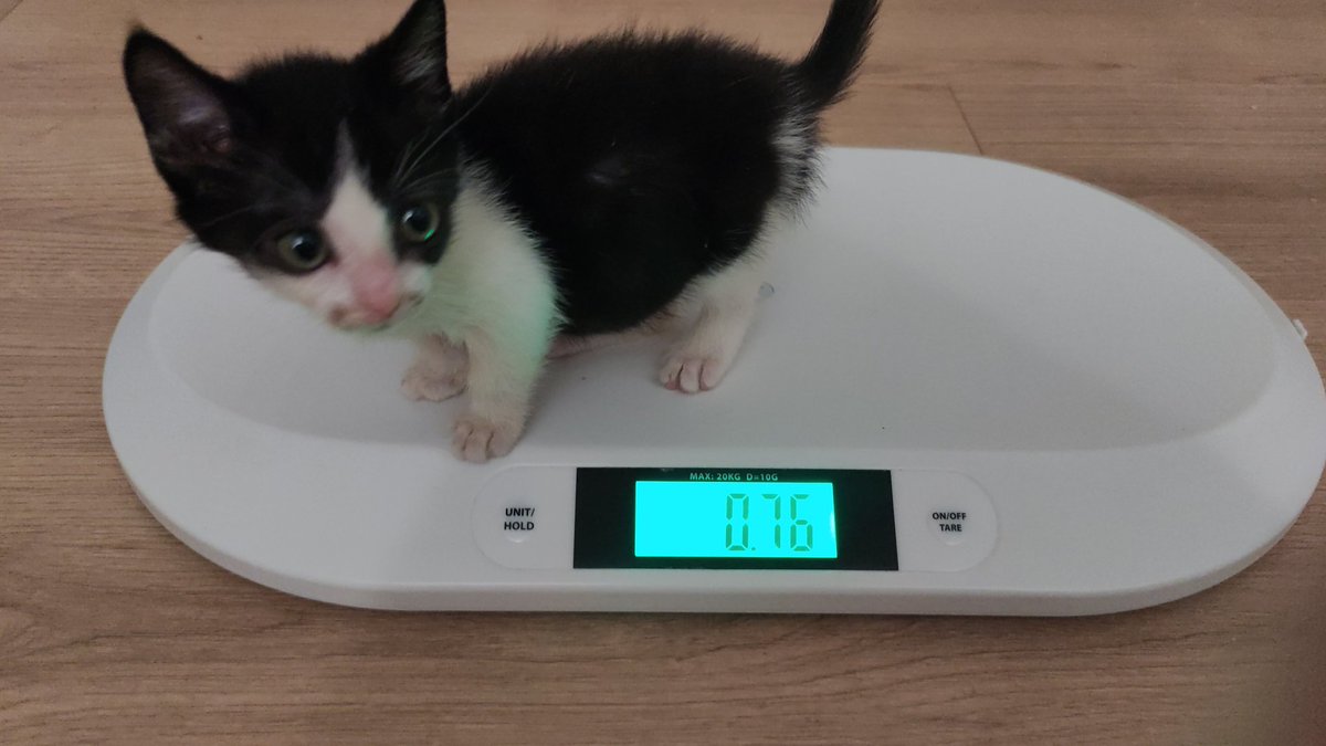 dzieci tak szybko dorastaja 🥲