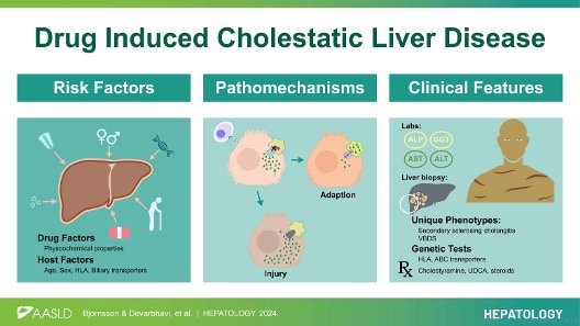 HEP_Journal's tweet image. Review

Drug-induced cholestatic liver diseases

Bjornsson et al.
#LiverX
shorturl.at/wNg5C