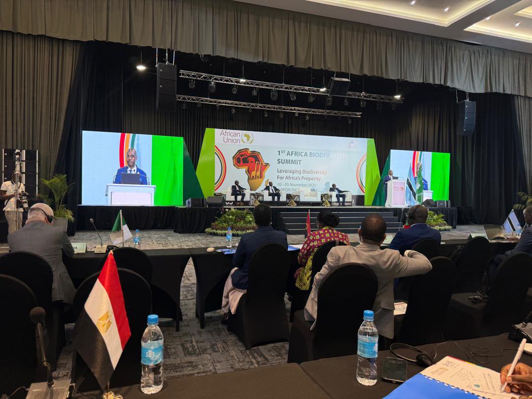 Amb. Prof. Miguel Bembe tweet media