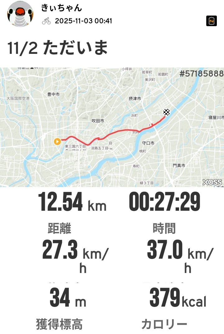 僕きぃㄘゃԽ☆心不全なポンコツ店主 (@888ysn) / Posts / X