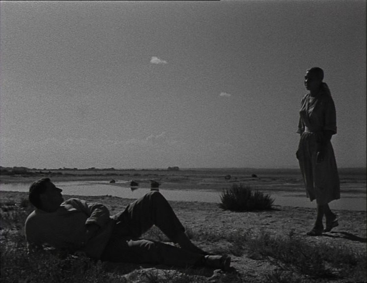 agnès varda archive tweet media