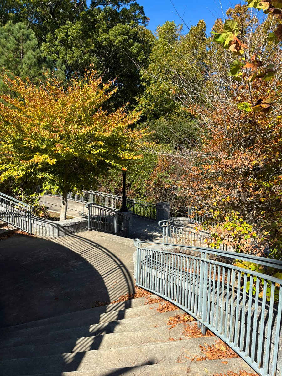 chanello tweet media