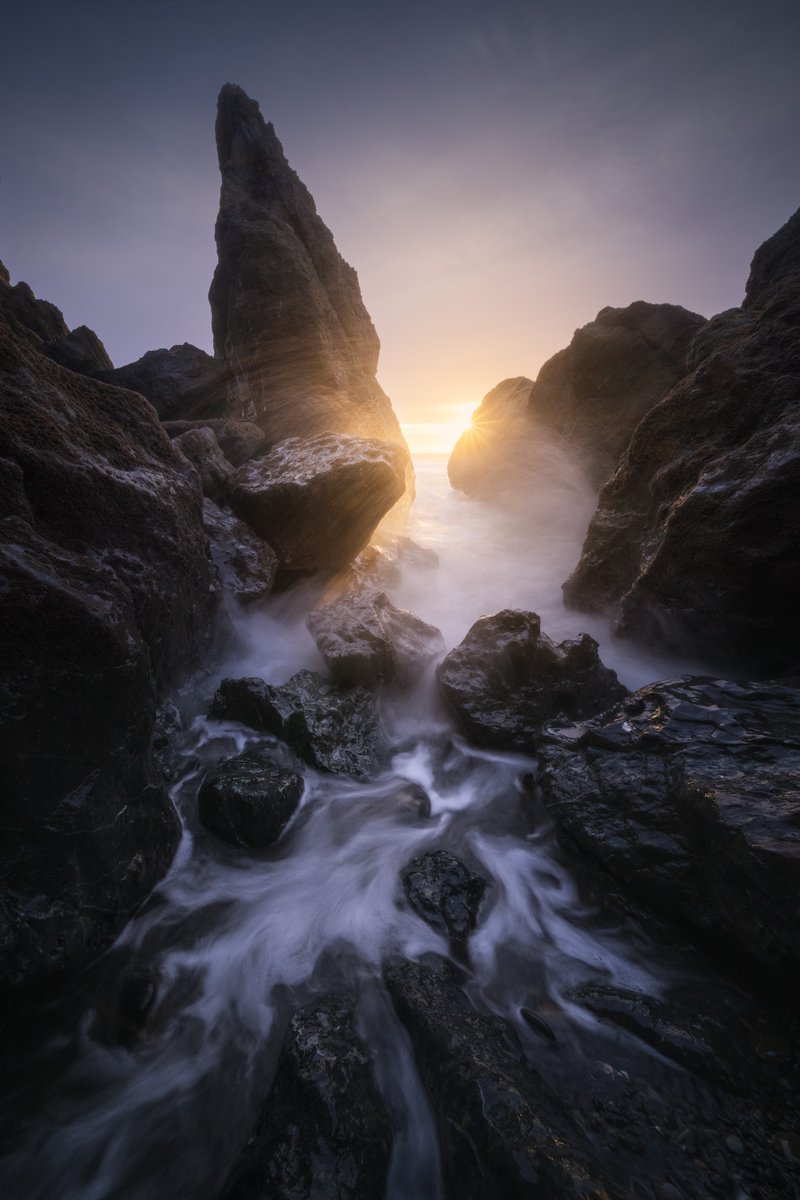 Michael Shainblum tweet media