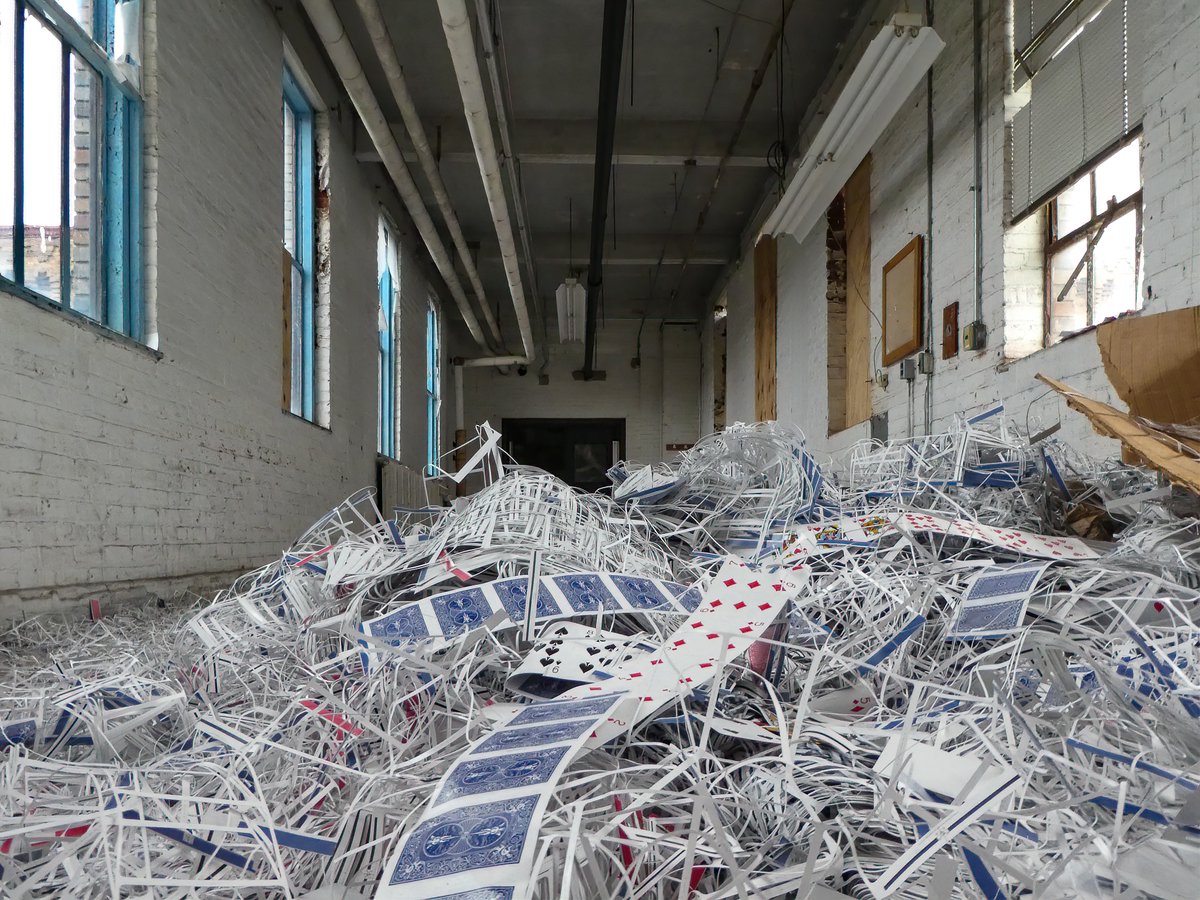 Mr. P. Explores tweet media