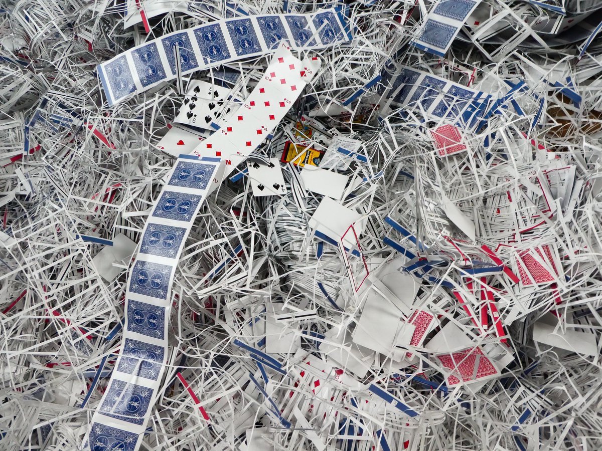 Mr. P. Explores tweet media