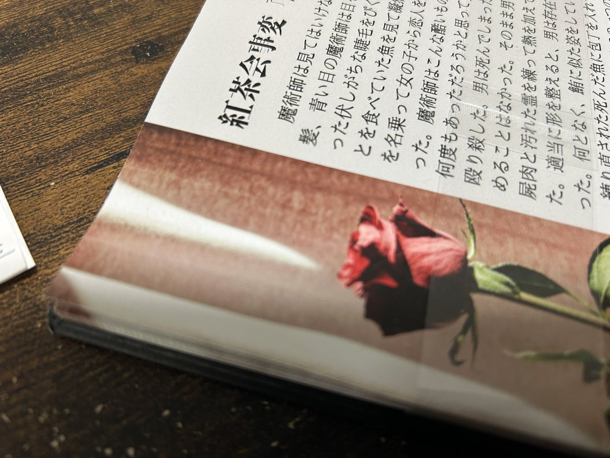 剣城かえで（KENJO KAEDE）文フリ東京 う18 on X